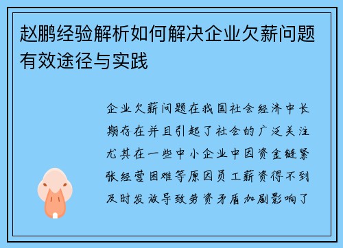赵鹏经验解析如何解决企业欠薪问题有效途径与实践